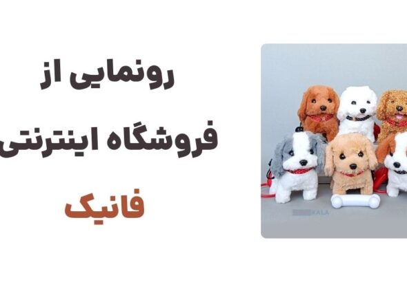 رونمایی از فروشگاه اینترنتی فانیک