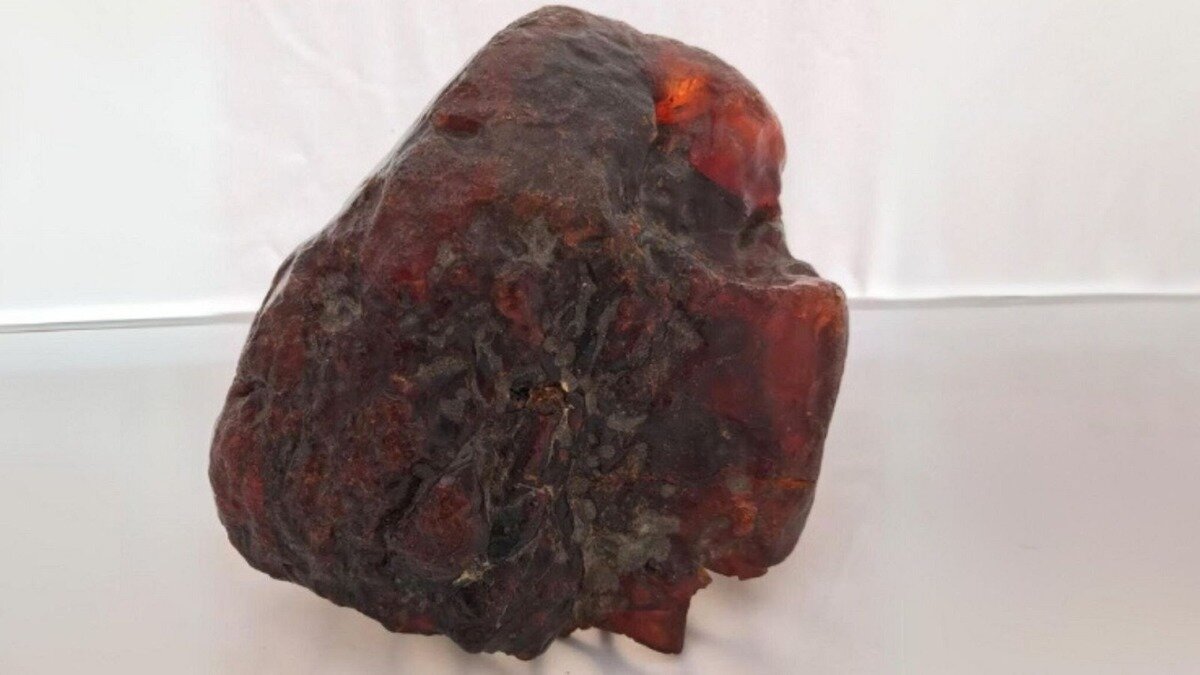 سنگی که ۳۰ سال در خانه بود، گنج یک میلیون دلاری از آب درآمد