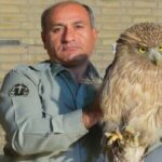 دومین قاتل محیط‌بان خاییز دستگیر شد