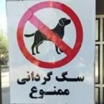 پلمب مهد سگ‌ پس از افتتاح