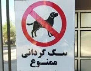 پلمب مهد سگ‌ پس از افتتاح