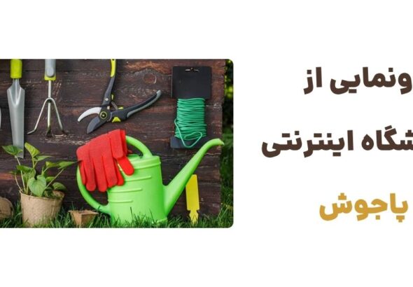 رونمایی از فروشگاه اینترنتی پاجوش