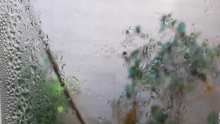 آغاز بارش باران و رعدوبرق در برخی استان‌های کشور