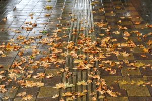 کاهش ۱۰۰ درصدی بارش باران در ۲۱ استان کشور