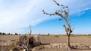 در این استانهای کشور حتی یک قطره باران هم نباریده است؟