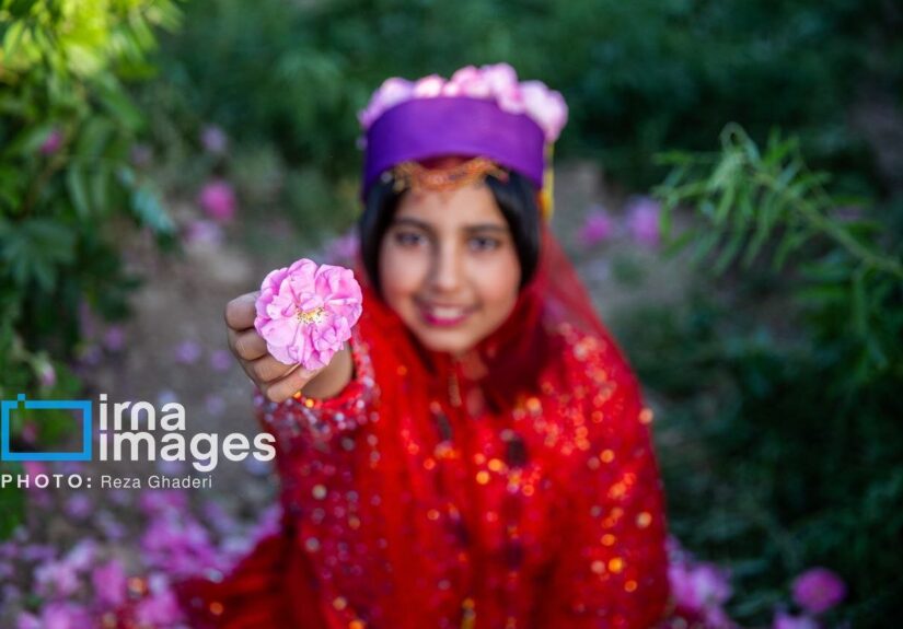 سرقت بزرگ عربستانی‌ ها از ایران