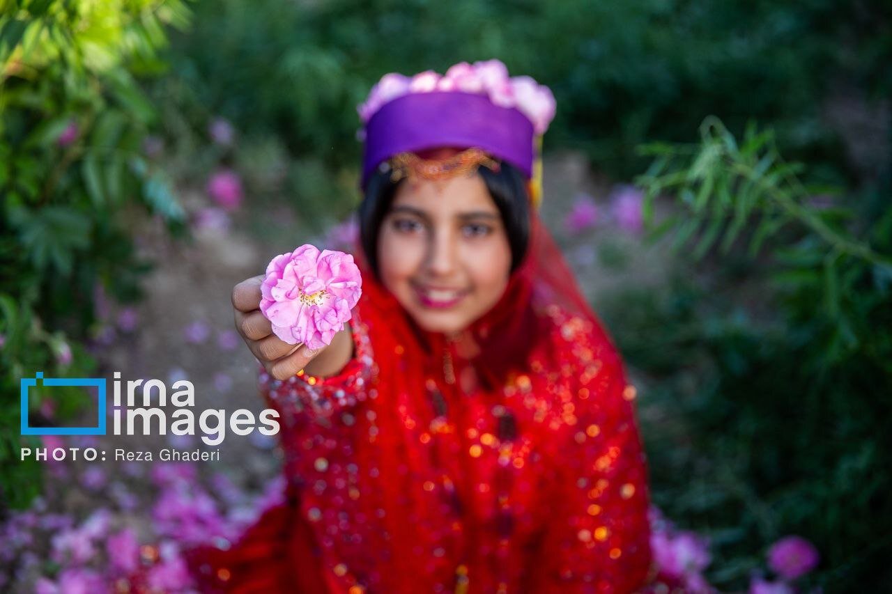 سرقت بزرگ عربستانی‌ ها از ایران