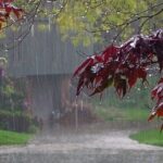 خبر مهم هواشناسی وسط دود و دم